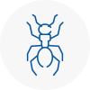 Ant Removals In Herne Bay