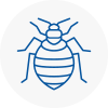 Bed Bug Extermination In Herne Bay
