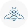 Bee Nest Removal Herne Bay