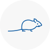 Mice Exterminators In Herne Bay