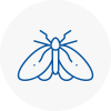 Moth Control Specialists In Herne Bay