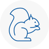 Herne Bay Rodent Removals